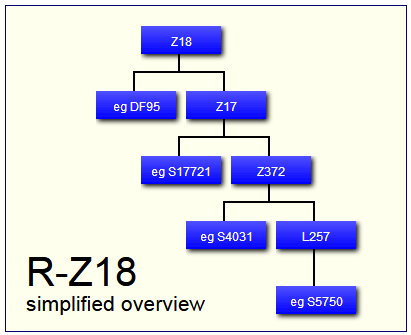 Y-Tree of R-Z18